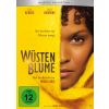 2241912 wustenblume dvd