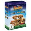 2256375 buddies collection dvd