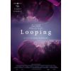 2261472 looping dvd