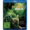 2265891 der smaragdwald blu ray