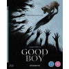 Good Boy (2025) Blu-Ray