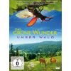 2270955 das grune wunder unser wald dvd