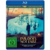 2274282 evil does not exist blu ray