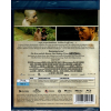 Bugonia (Blu-ray)