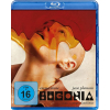 Bugonia (Blu-ray)