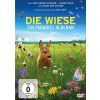 2278953 die wiese ein paradies nebenan dvd