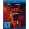 2285754 coyotes blu ray