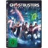 2287443 ghostbusters 2016 dvd