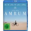 2290875 amrum blu ray