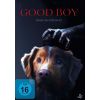 2291664 good boy trust his instincts dvd