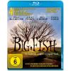 2292111 big fish blu ray