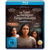 2294184 die saat des heiligen feigenbaums blu ray