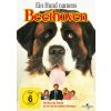 2296560 ein hund namens beethoven dvd