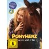 2298273 ponyherz dvd
