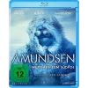 2302575 amundsen blu ray