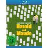2303331 harold und maude blu ray