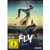 2311860 fly dvd