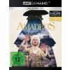 2314832 amadeus 4k ultra hd blu ray