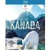 2315579 wildes kanada blu ray