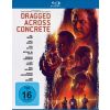 2317997 dragged across concrete blu ray