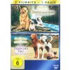 Zurück nach Hause / Ein tierisches Trio (DVD)