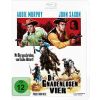 Die gnadenlosen Vier (Blu-ray)