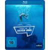 Under the Silver Lake (Blu-ray)