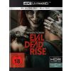 Evil Dead Rise (4K UHD)