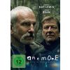 Anemone (DVD)