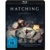 Hatching (Blu-ray)