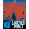 Dangerous Animals (Blu-ray)