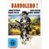Bandolero! (DVD)