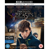 Fantastic Beasts and Where To Find Them Includes Digital Download [4K UHD] [2016] (Blu-ray)