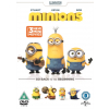 Minions (DVD)