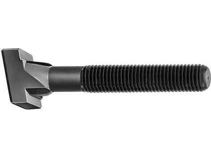 Šroub pro T- drážku Rhombus AMF 797 - M16x160 (87395)