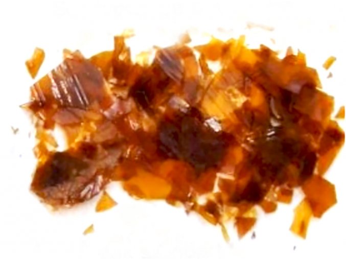 Shella orange