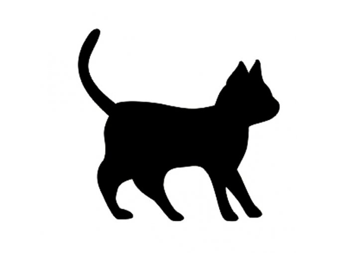 Cat 2