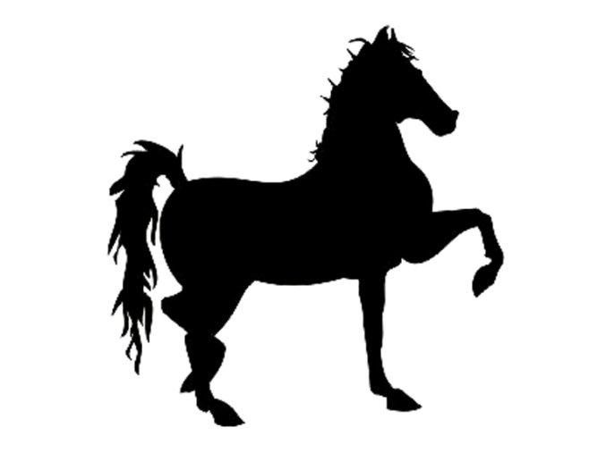 Horse 2