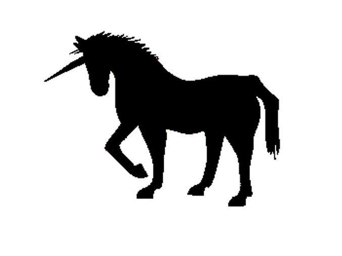Small unicorn 2