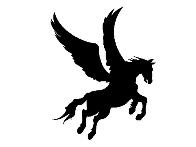 Pegasus 2