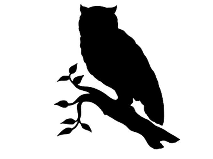 Owl 2