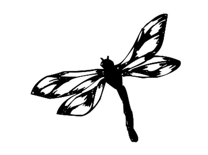Dragonfly 2