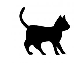 Cat 2