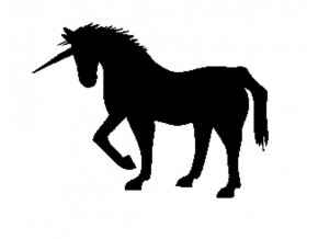 Small unicorn 2