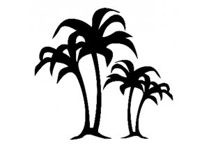 Palm Trees 2