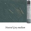Neutral Grey Medium