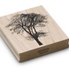 Ash tree