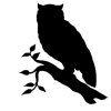 Owl 2