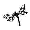Dragonfly 2