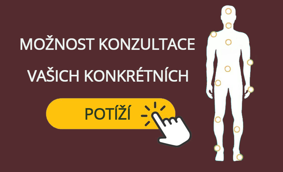 konzultace